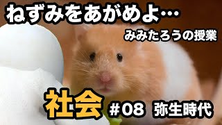 みみたろう の しゃかい 8じかんめ【弥生時代】