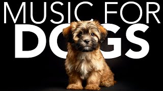 10 HOURS of Dog Relaxing Music 💖🦮 Sweet Sleep Lullabies for Anxious Dogs