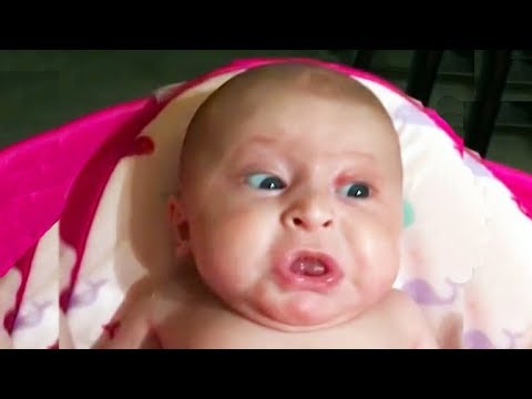 FUNNIETS BABIES and KIDS Videos Will SURVIVE your BAD DAY! - Hilarious babies Compilation