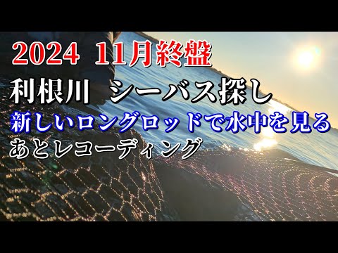 【入水映像】2024 秋の利根川 タイミング悪いとまったく魚いない あとジャカゴに気を付けてほしい