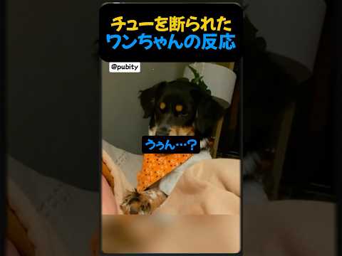 ワンチャンのチューを断ったら？