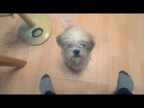 辛いご報告です