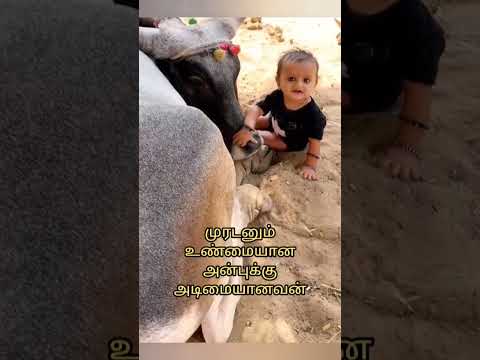 அன்பு