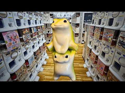 犬の動画サムネイル - 【ガチャ活】新作ガチャガチャ41連！「俺、今日からかえる4」やりますか！