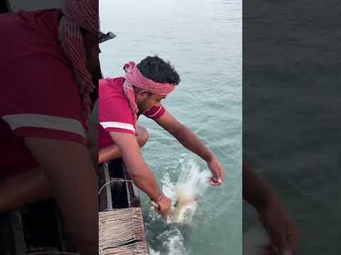 আজ বড়শিতে উঠে এলো সুন্দরবনের সুস্বাদু মাছ