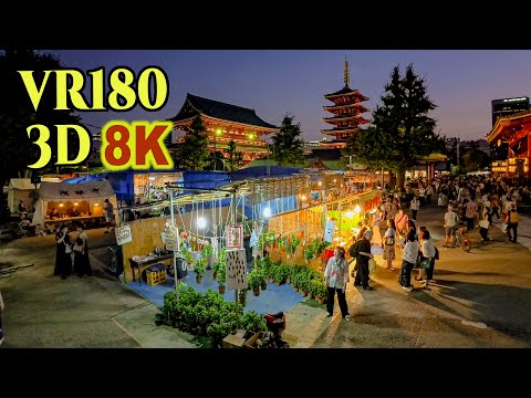 [ 8K 3D VR180 ] 浅草寺「ほおずき市」2025 Asakusa 