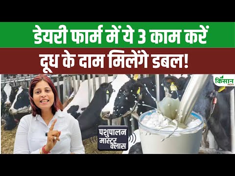 Dairy Farm चलाने वालों के लिए काम की खबर, इन तरीकों से बढ़ा सकते हैं दूध का उत्पादन। Dairy Farming