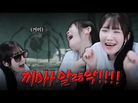 거미를 만나버린 서넹😭