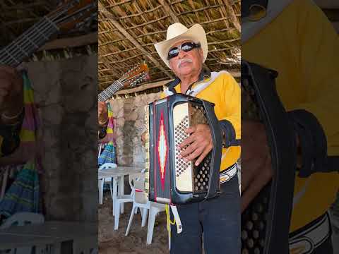 Le encantó la tubita al niño 😁📯🎵...