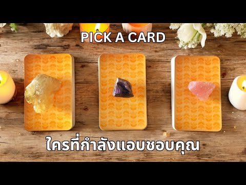 Pick a card ❤️คนโสด และ คนที่ไม่โสด ตอนนี้ใครกำลังแอบสนใจ แอบชอบ หรือแอบรักคุณ NO.15 (Timeless)