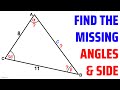 Triangle Properties and Trigonometric Laws