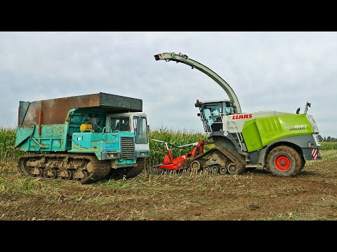 Mais Silage 2024 | Claas Jaguar 940 on Tracks + John Deere | Riphagen Vaassen