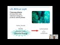 Ecosystem Roles and Energy Processes