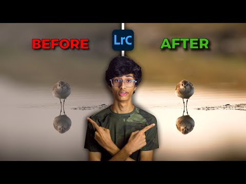 My 5-Minute Wildlife Photo Editing Workflow in Lightroom