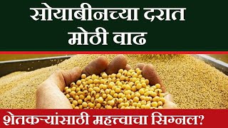 सोयाबीनच्या दरात मोठी वाढ | सोयाबीन बाजारभाव | soybean market update | सोयाबीन दरवाढ