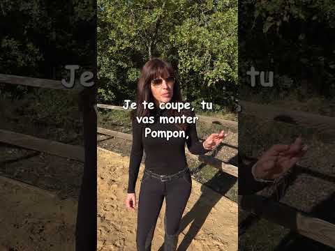Quand les touristes veulent faire du cheval