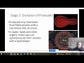 Evolution and Extinction Concepts