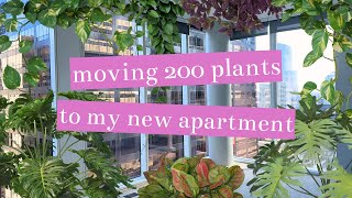 Moving 200+ Plants To My New Apartment | MOVING VLOG