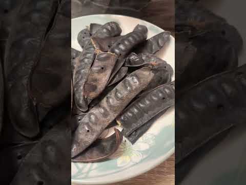 Cách dùng trái bồ kết? #boket #boketkho #traiboket #xuhuong #xuhuong #goidau #muottoc