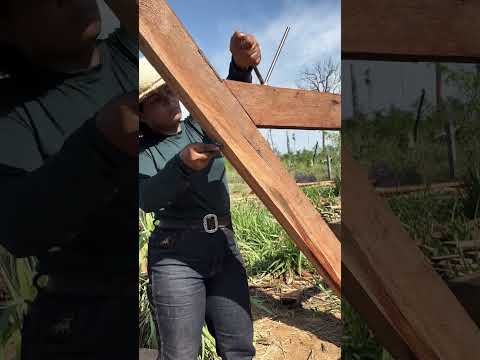 30 de outubro de 2025