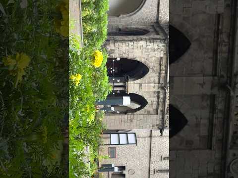 COEP X PHOOL 🌸 #coep #shorts #coeppune