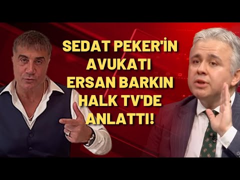 Sedat Peker'in avukatı Ersan Barkın Halk TV'de anlattı!