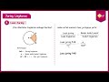 Understanding Circle Sectors