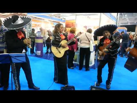 Tequila (Live)
