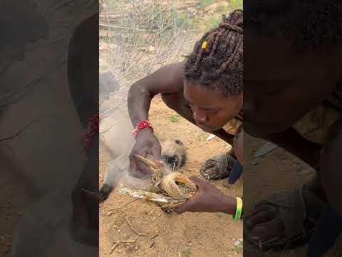 The quickest way to make fire and barbecue in African wilderness#animals #shorts