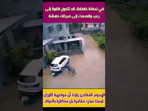 قوة الثور لا ترحم: ثور هائج يهاجم شاب صغير هجوم عنيف ويلوذ بالفرار | لحظة صادمة لا تُصدق #shorts
