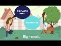 Understanding Adjectives and Their Opposites