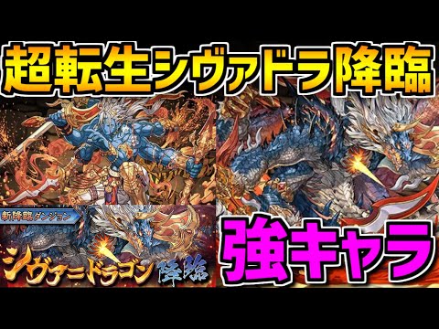 超転生シヴァドラ降臨！周回でも攻略でも強い！！武器追加やシヴァ強化も！【パズドラ】