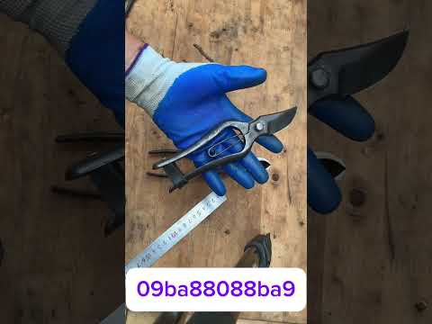 Giao lưu chia sẽ cùng ae đam mê nghệ thuật tạo tác bonsai #bonsai #bonsaiart #bonsaitools