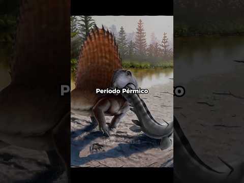 cuanto tiempo Sobrevives aquí?