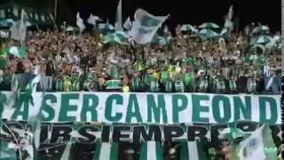 El éxtasis Verdolaga, el gol de Nacional