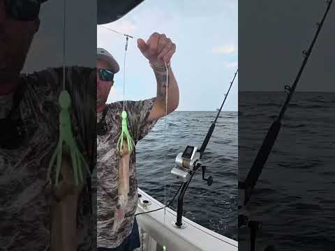 Dropped frozen squid 800ft DEEP and caught THIS video thumbnail