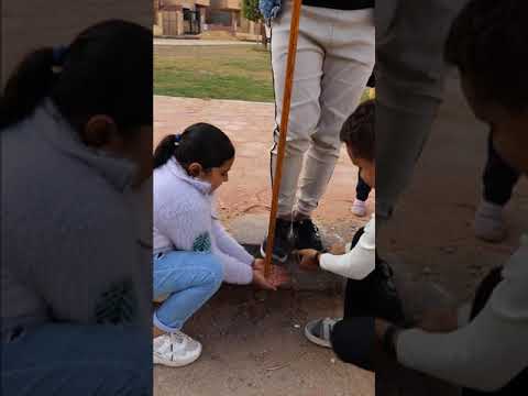 مساعده الاعمى