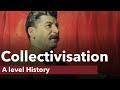 Collectivization and Stalin's Economic Policies