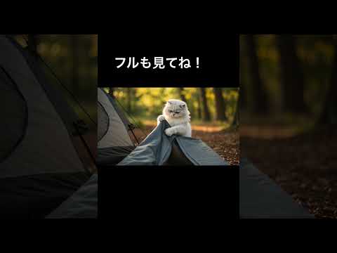 森を拔けて湖のほとりへ──白猫ベル、今日のキャンプ地に到着。テントを立てて深呼吸、やっと見つけた、靜かな自分だけの時間。 #白猫ベル #癒し動畫 #キャンプ