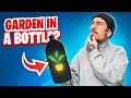 Vertical Gardening Techniques and Materials