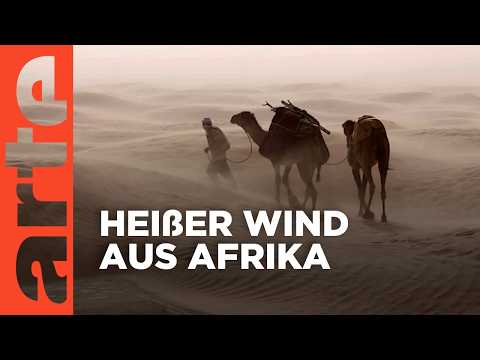 Scirocco, der Wind der Wüste | Mächtige Winde | Doku HD | ARTE