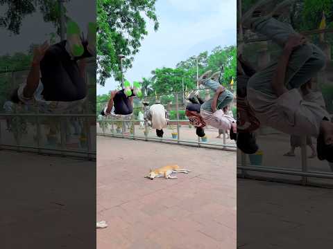 Dog🐶is best friend🥵for everyone🥰…// #dogapparel #teambackflip #youtubeshorts #dogclothes #viral