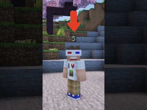 Les pseudos INTERDITS sur Minecraft #shorts
