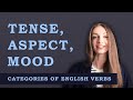 English Tenses and Moods Assessment