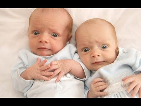 TRY NOT TO LAUGH Challenge - Most Funny Twin Babies Fighting Over Stuff Compilation (NEW 2017)