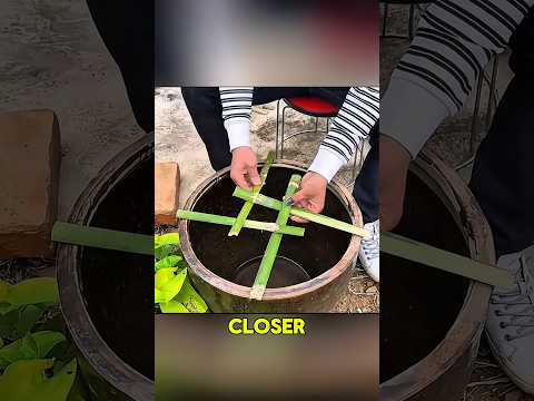 This woman is incredibly creative