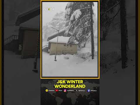J&K's Patnitop Blanketed in Heavy Snowfall