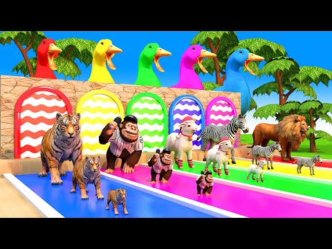 Long Slide Game With Cow Elephant Gorilla Dog Tiger - 3d Animal Game - Animals Animation Plus