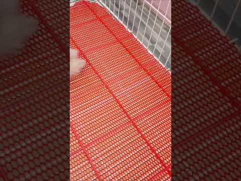 #thúcưng  #chómèohàihước #chó  Chó Phốc Sóc Mini  Funny and Cute Pomeranian cute animals#179.7