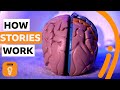The Impact of Stories on Perception